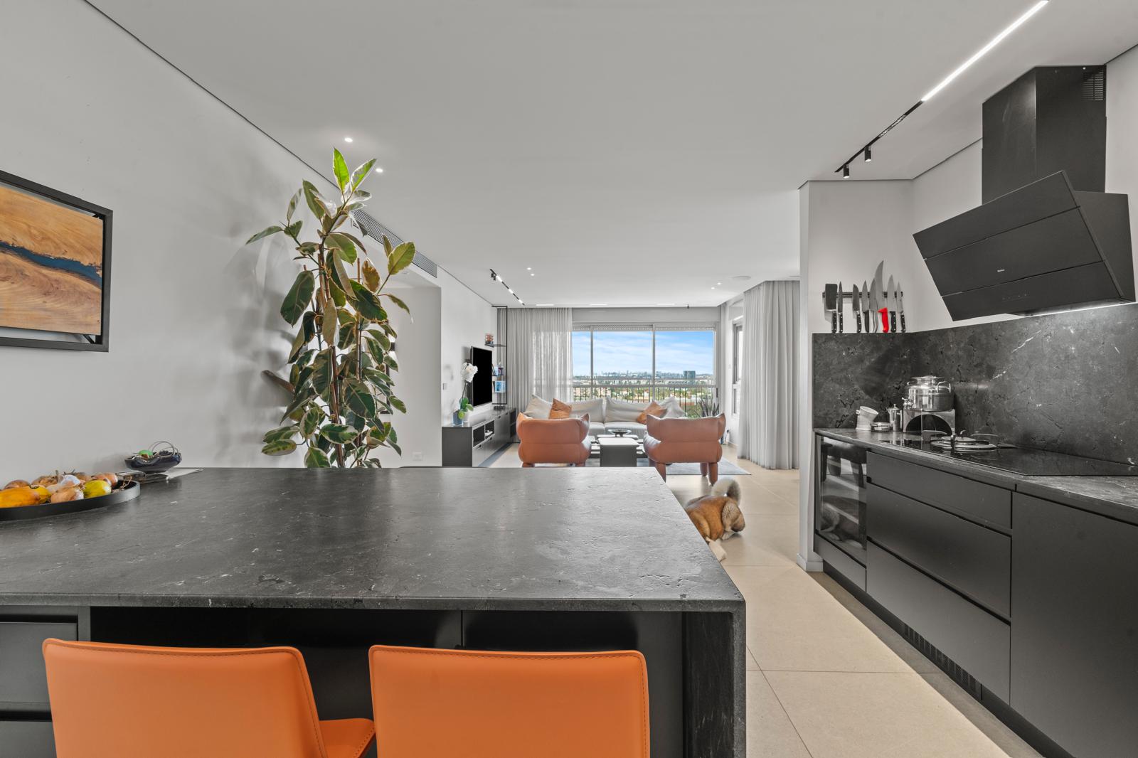 שיפוץ פנטהאוז רחובות